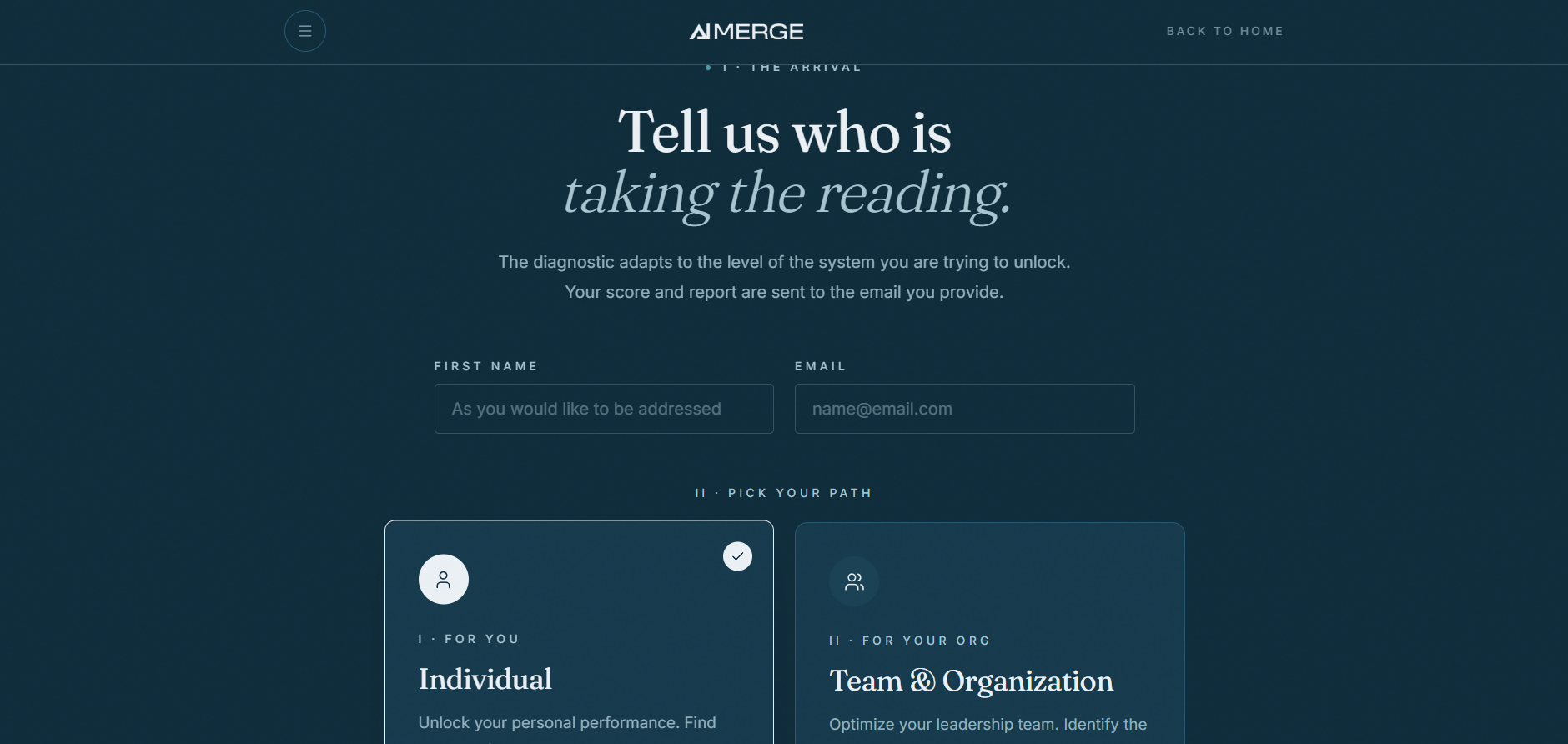 The opening screen — your name, your email, and whether the reading is for you or your team.